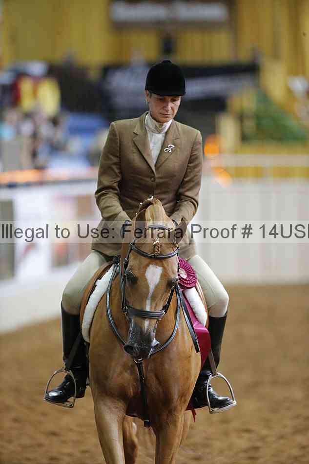Proof 14usn_14773