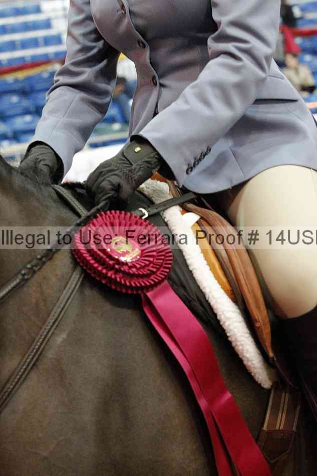 Proof 14usn_14793