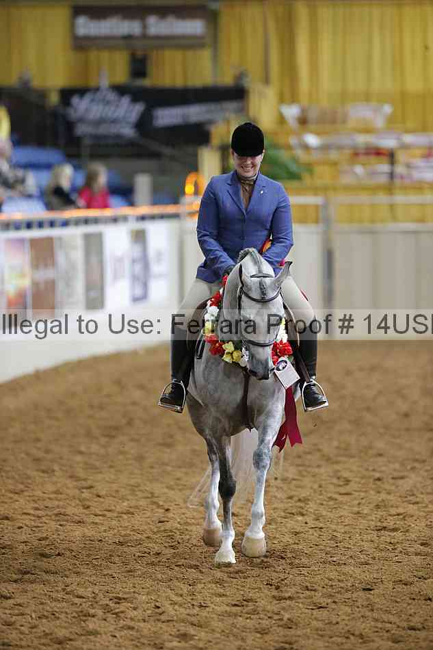 Proof 14usn_14802