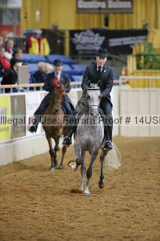 Proof 14usn_10535