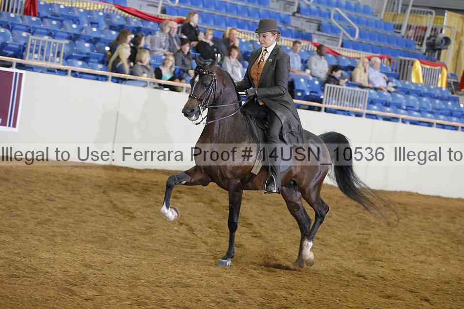 Proof 14usn_10536