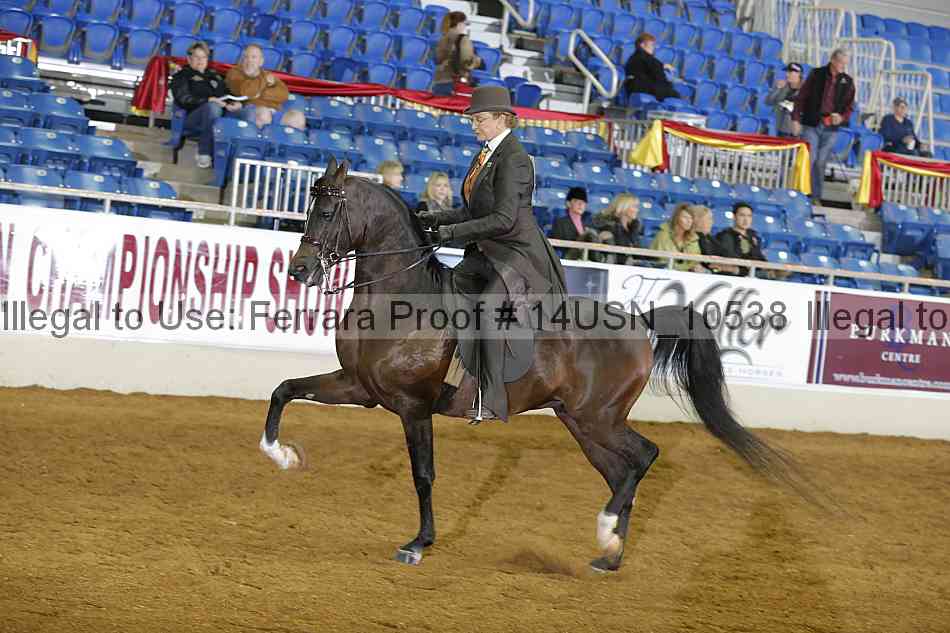 Proof 14usn_10538