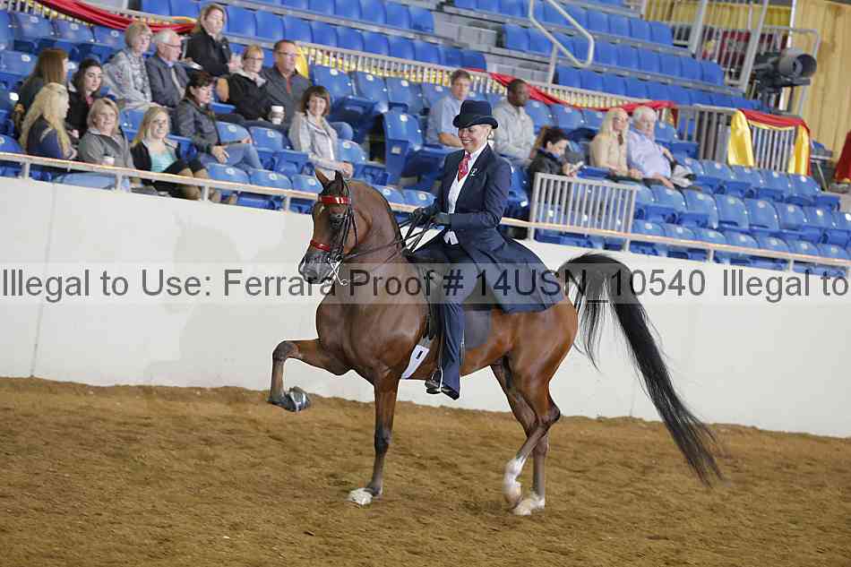 Proof 14usn_10540