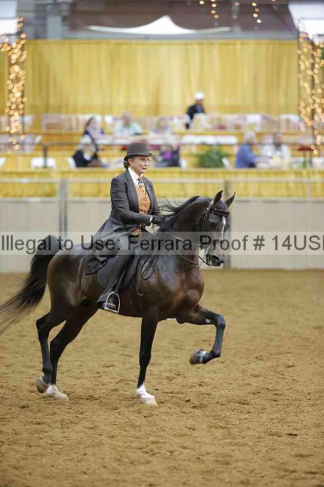 Proof 14usn_10541