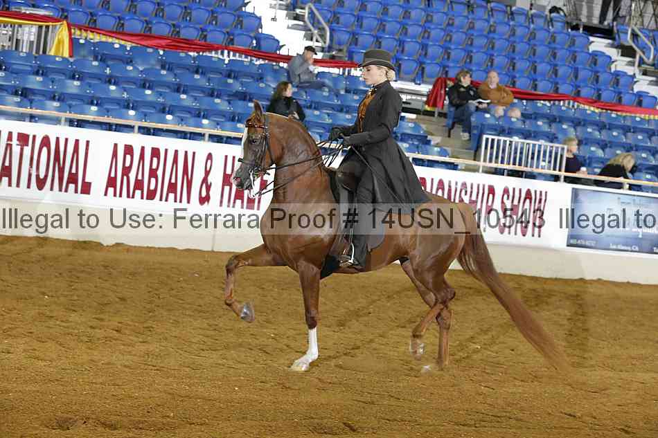 Proof 14usn_10543
