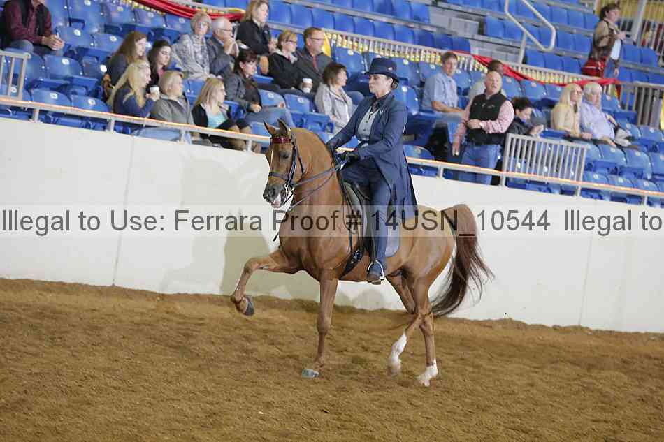 Proof 14usn_10544