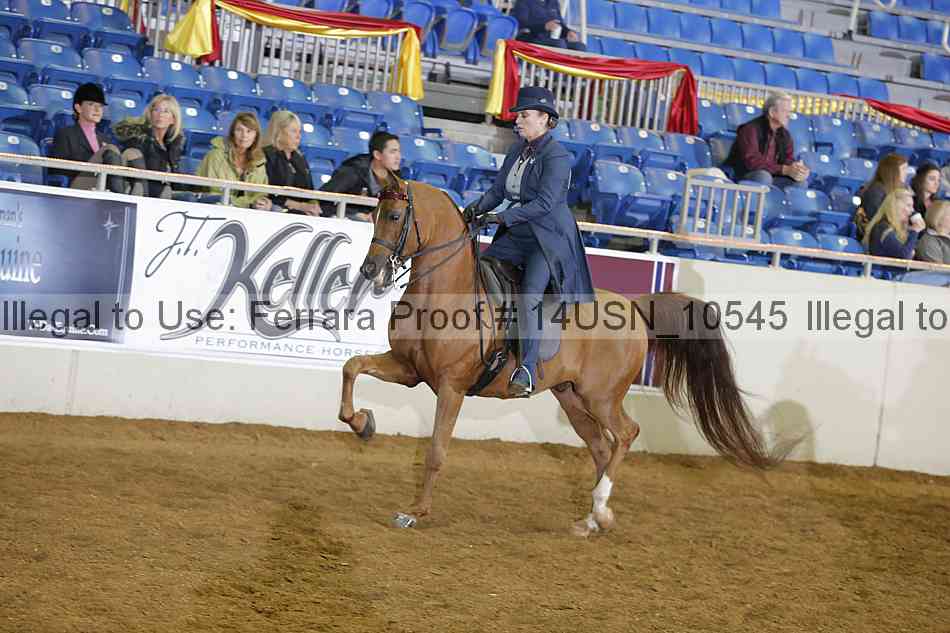Proof 14usn_10545