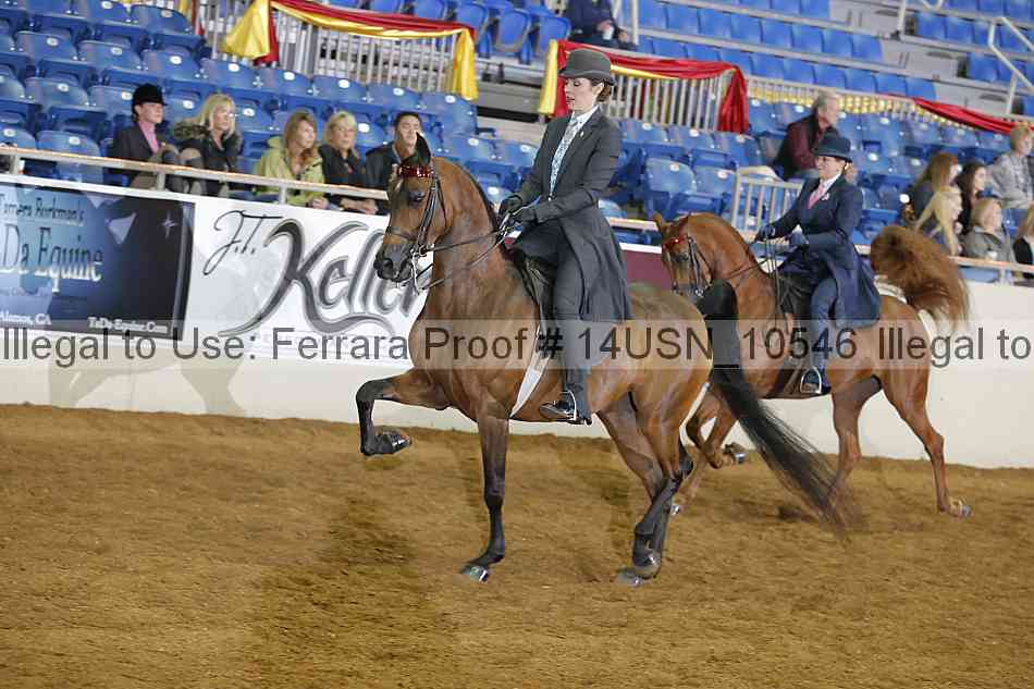 Proof 14usn_10546
