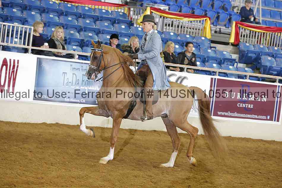 Proof 14usn_10551