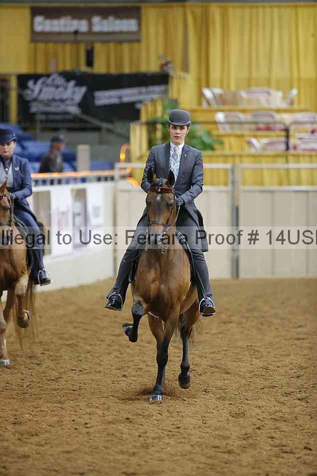 Proof 14usn_10556