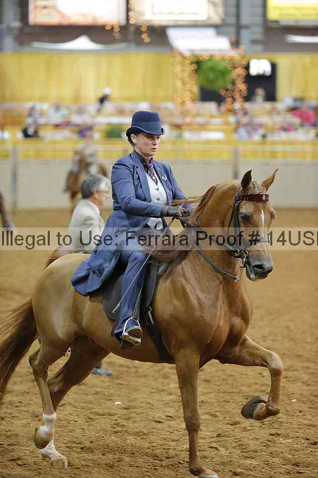 Proof 14usn_10558