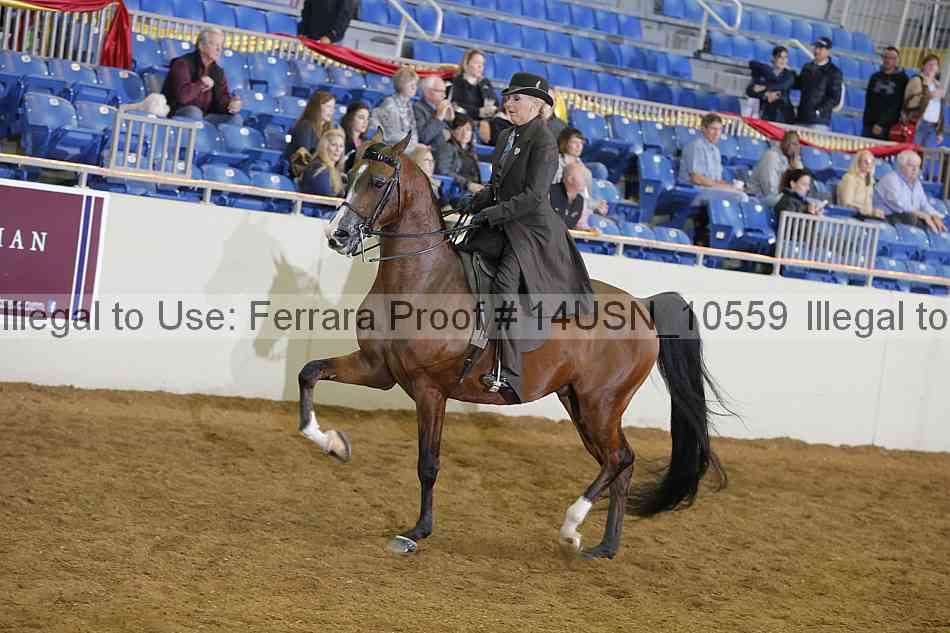 Proof 14usn_10559