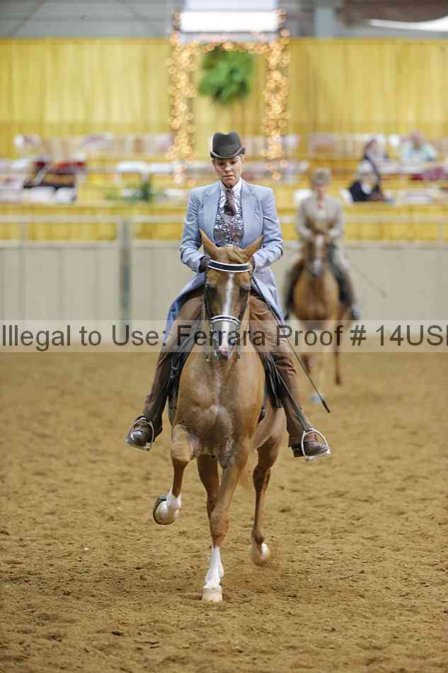 Proof 14usn_10561