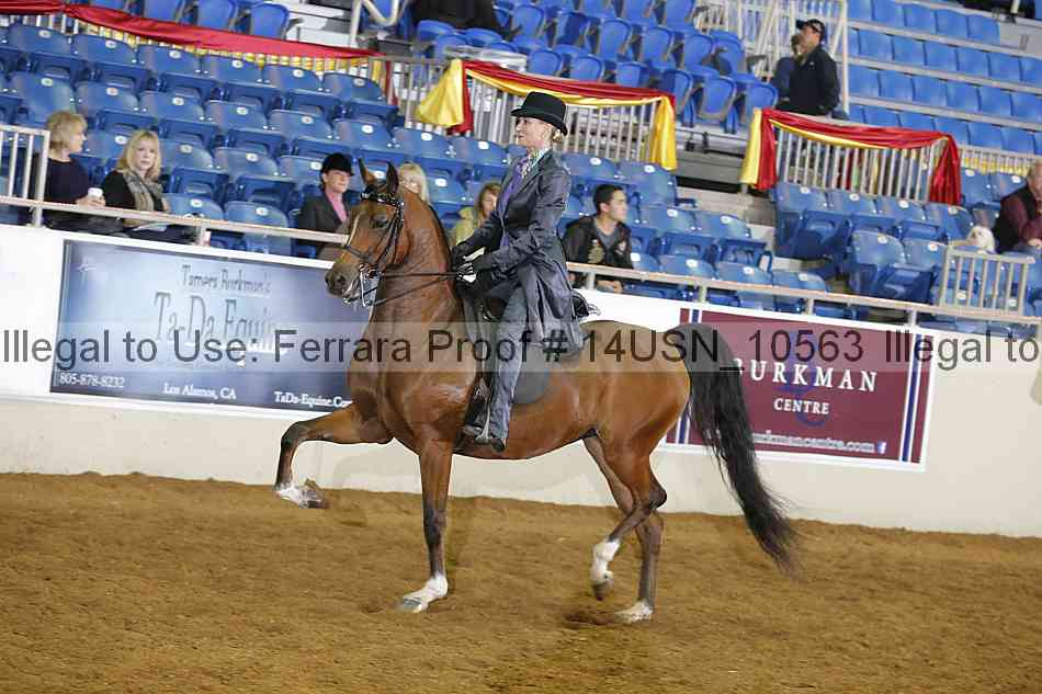 Proof 14usn_10563