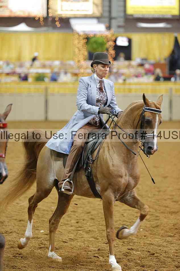 Proof 14usn_10564