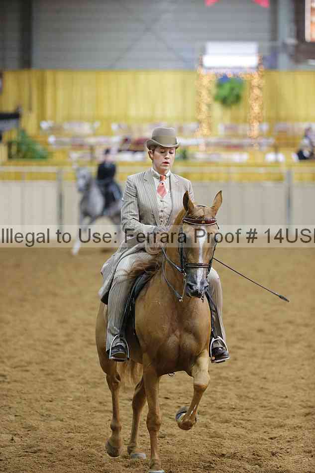 Proof 14usn_10565