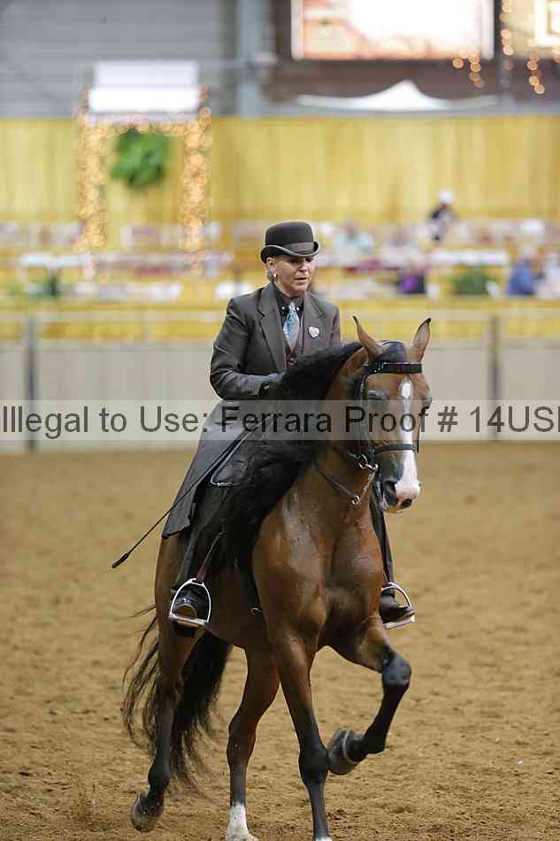 Proof 14usn_10570