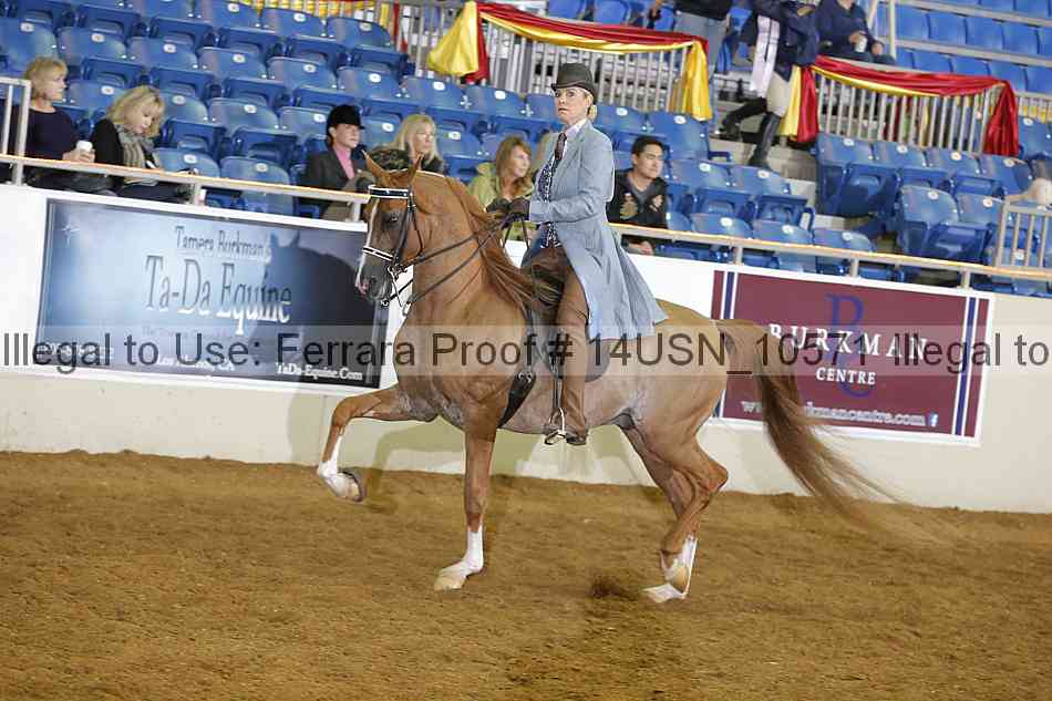 Proof 14usn_10571