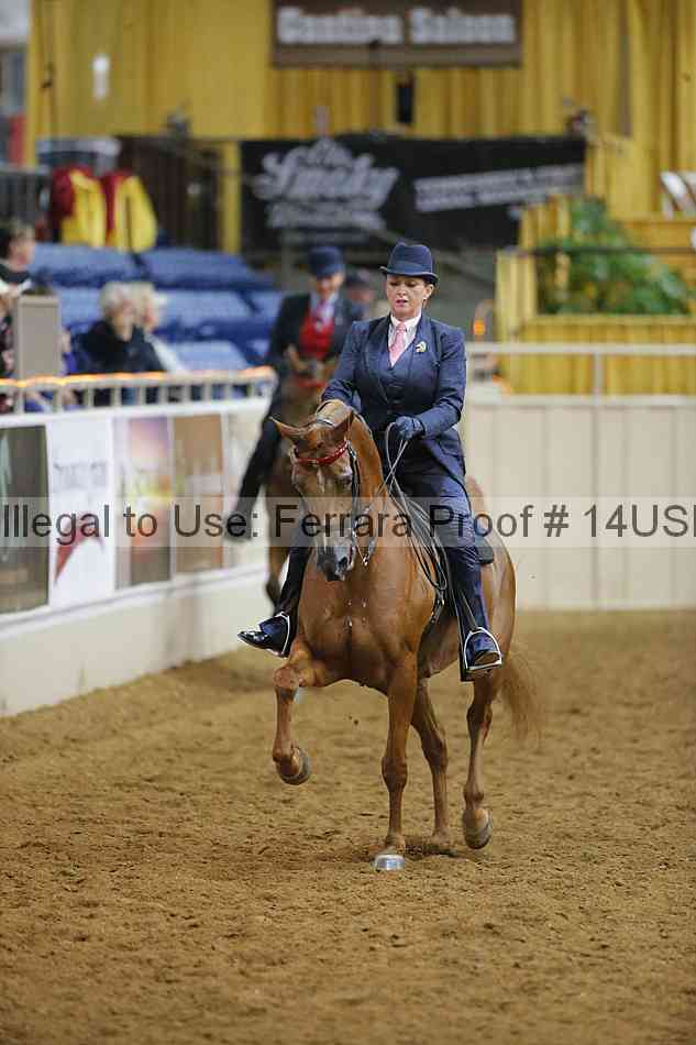 Proof 14usn_10575
