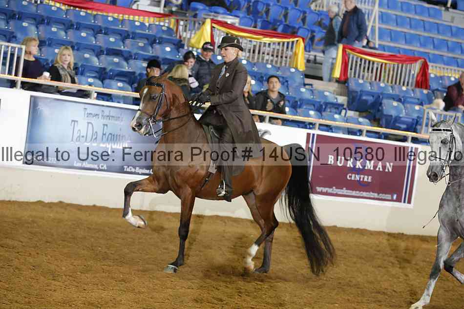 Proof 14usn_10580