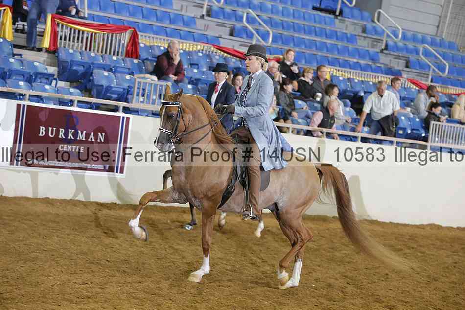 Proof 14usn_10583