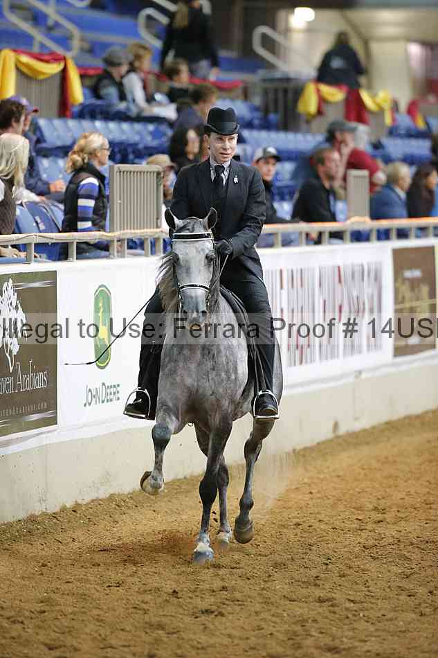 Proof 14usn_10584