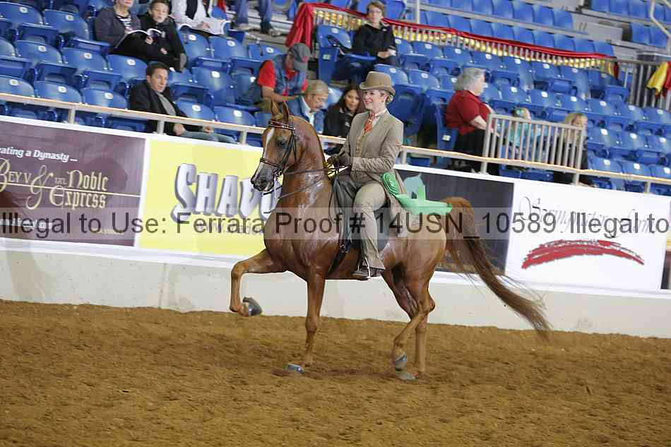 Proof 14usn_10589