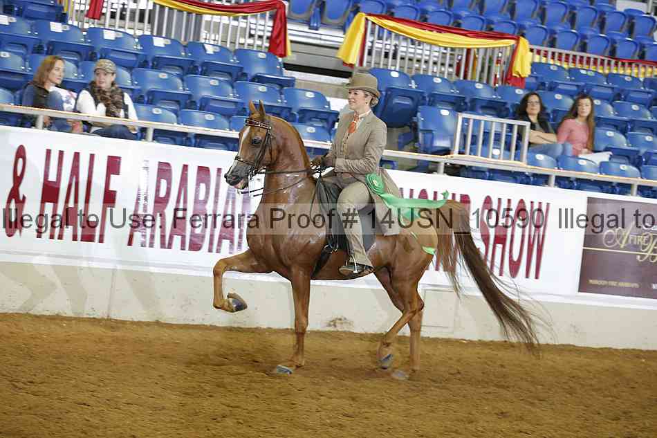Proof 14usn_10590