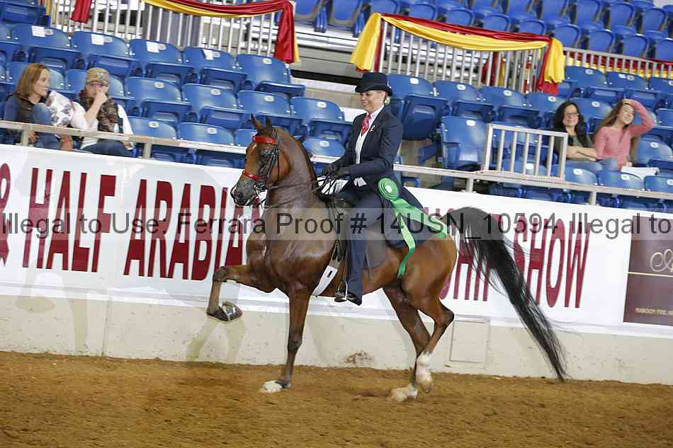 Proof 14usn_10594