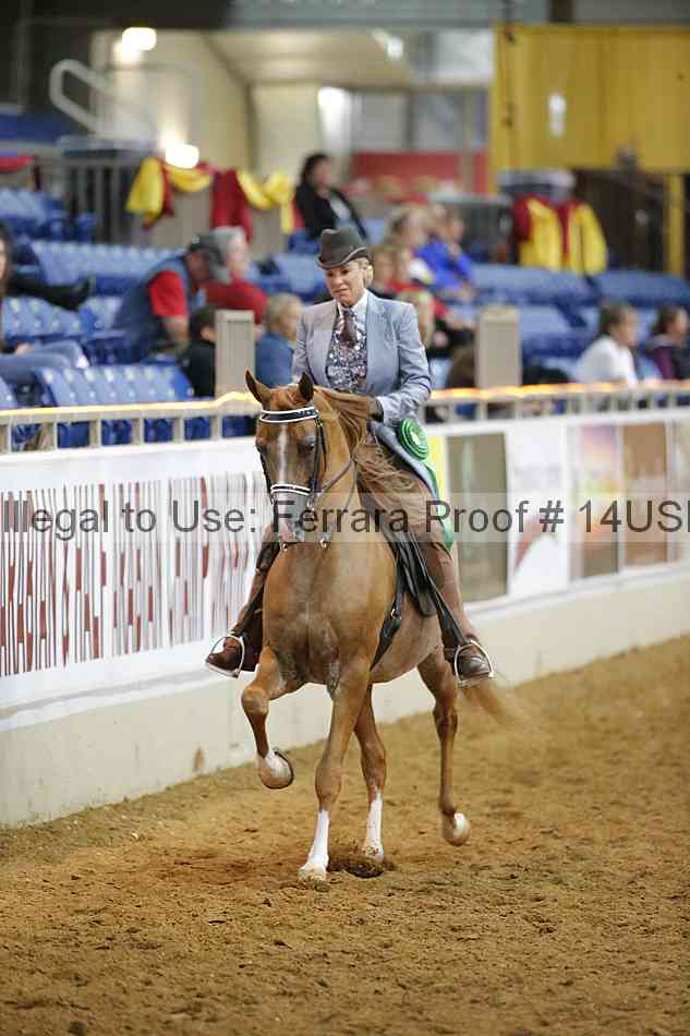 Proof 14usn_10595