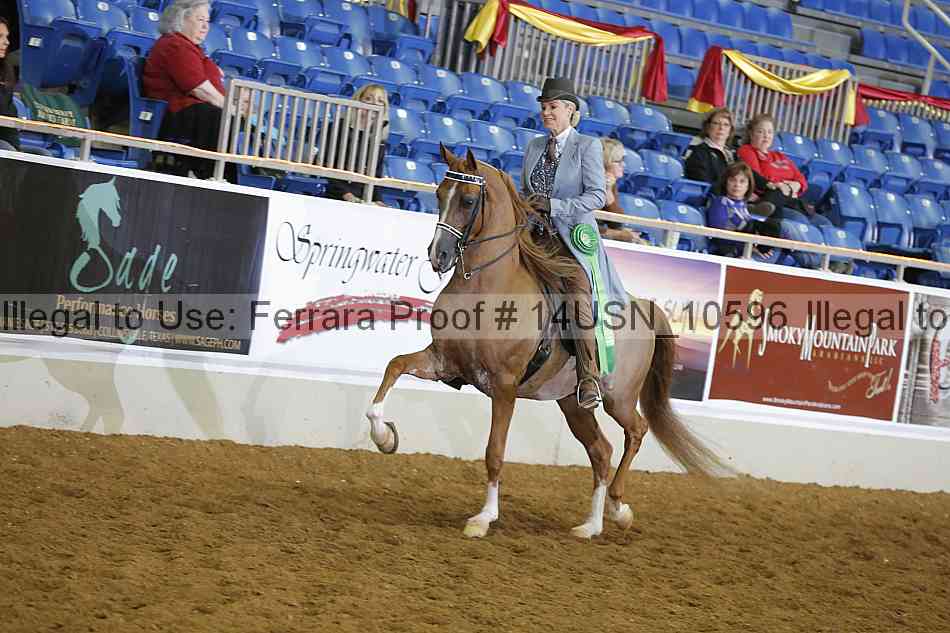 Proof 14usn_10596