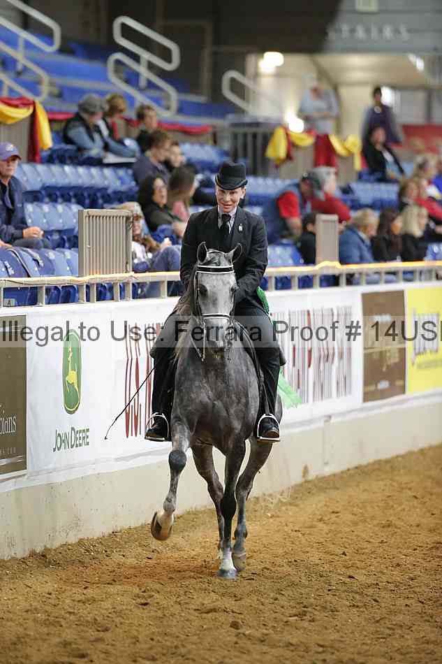 Proof 14usn_10599