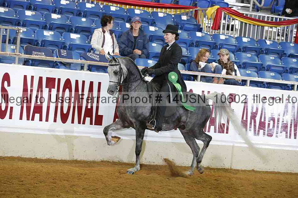 Proof 14usn_10602