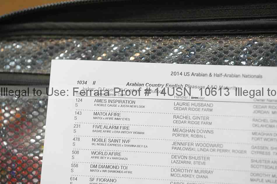 Proof 14usn_10613
