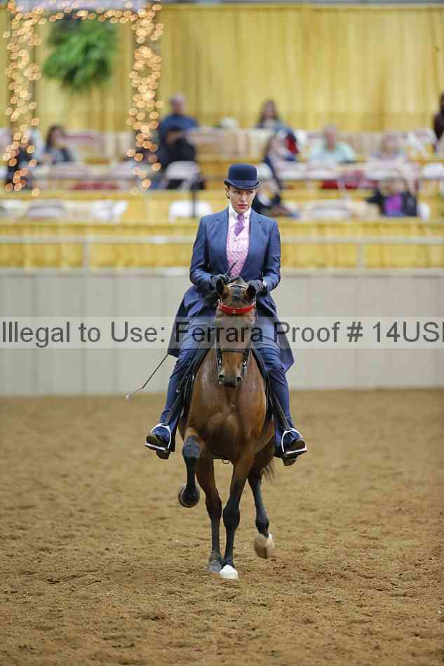 Proof 14usn_10626
