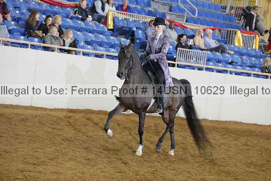 Proof 14usn_10629