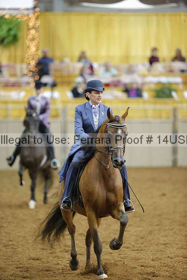 Proof 14usn_10634