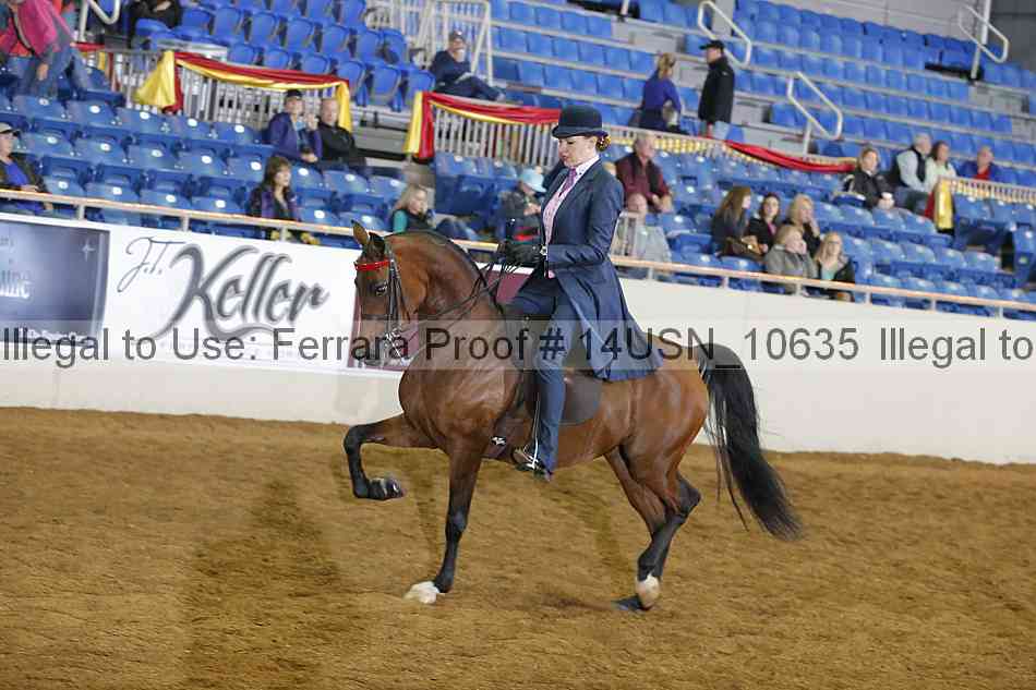 Proof 14usn_10635