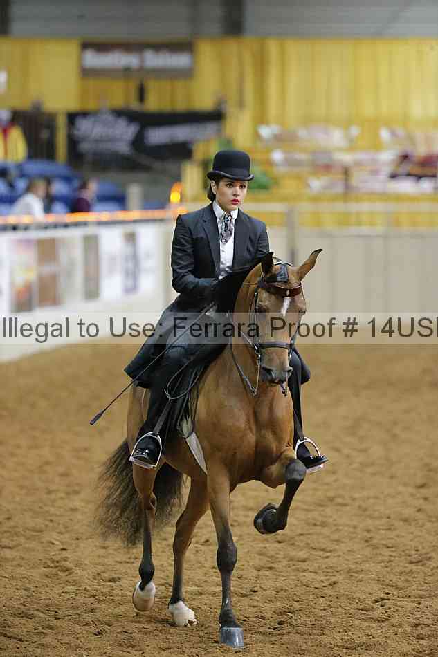 Proof 14usn_10644