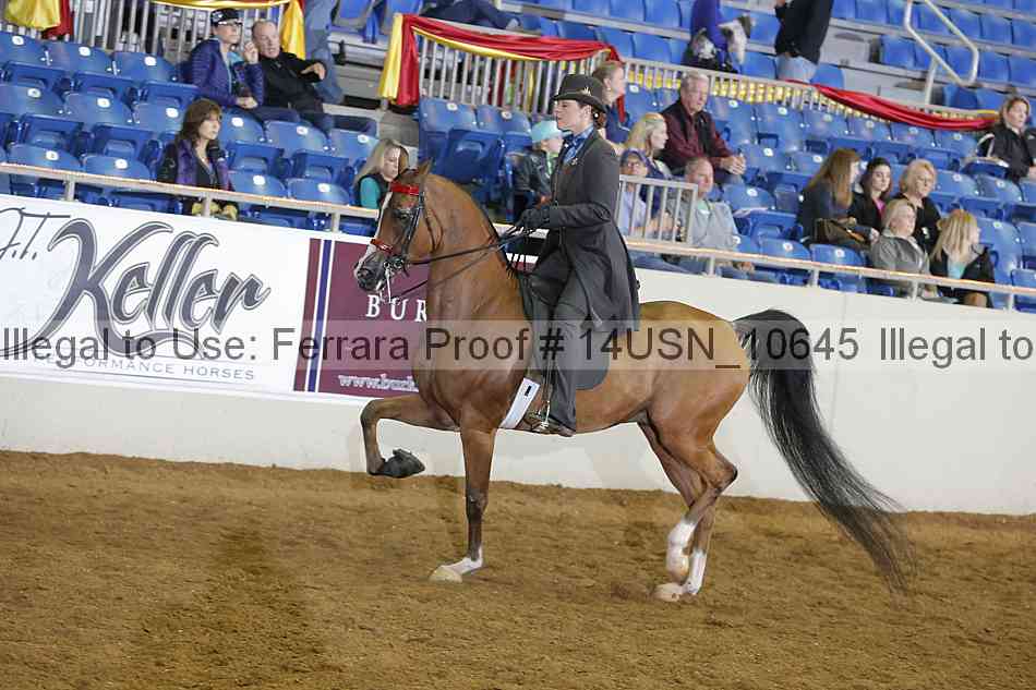 Proof 14usn_10645
