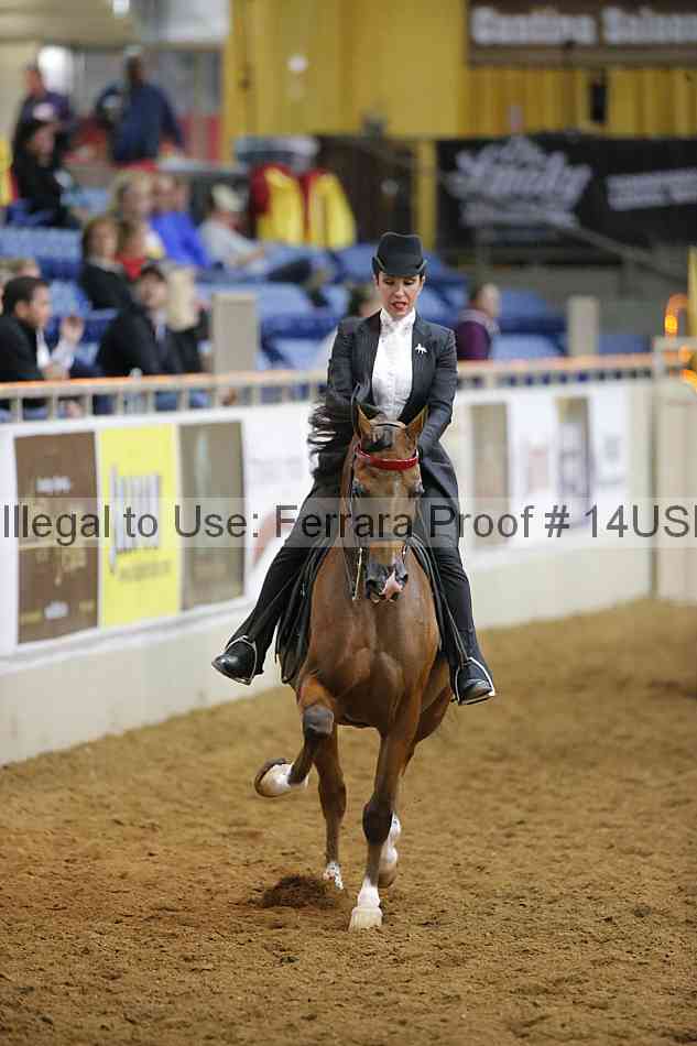 Proof 14usn_10648