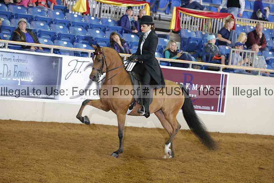 Proof 14usn_10651