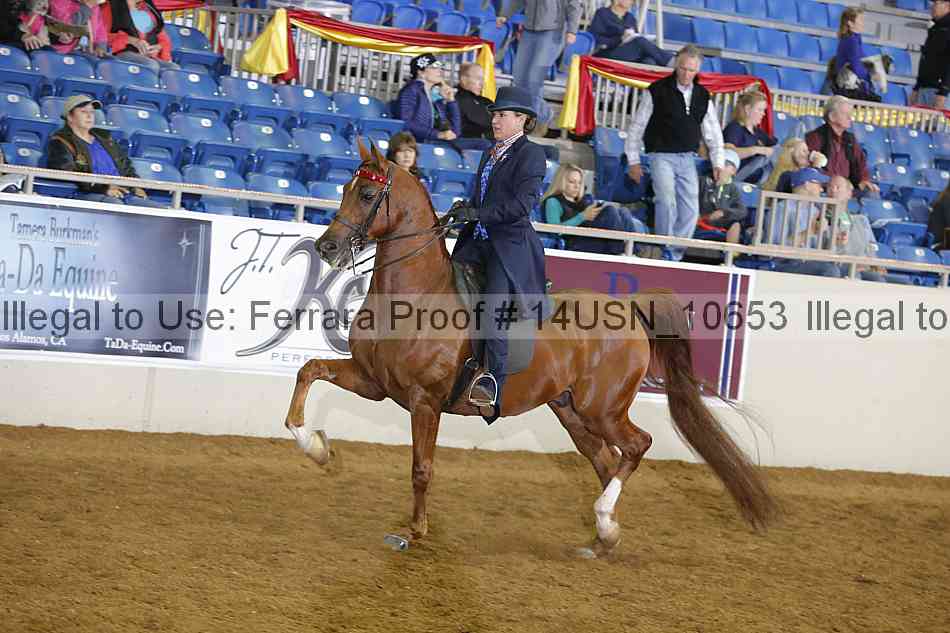 Proof 14usn_10653
