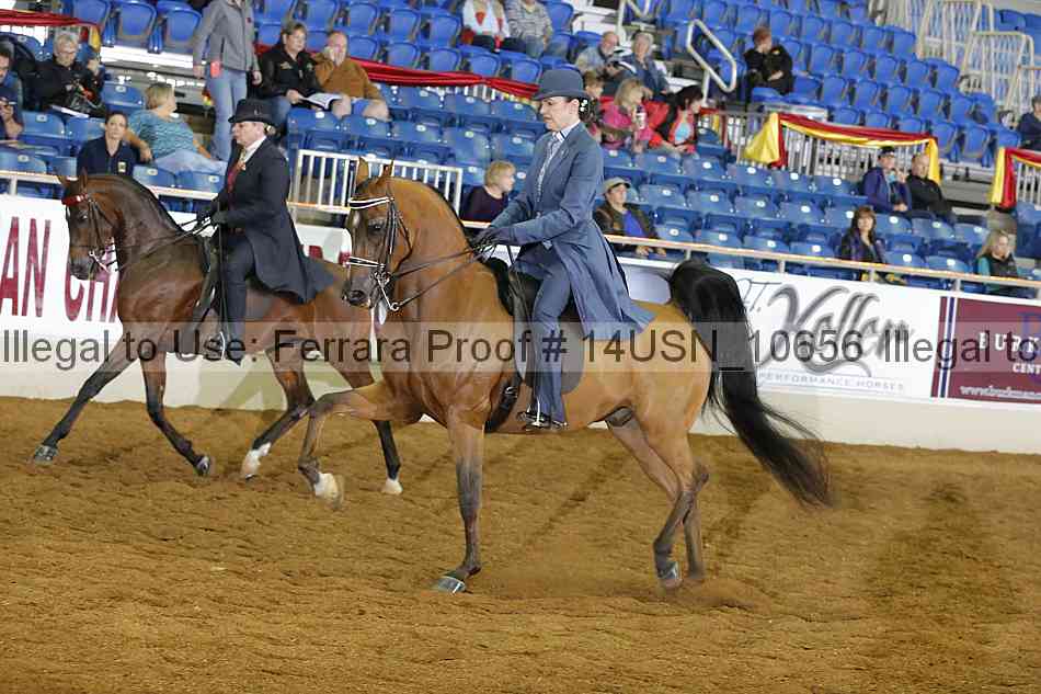 Proof 14usn_10656