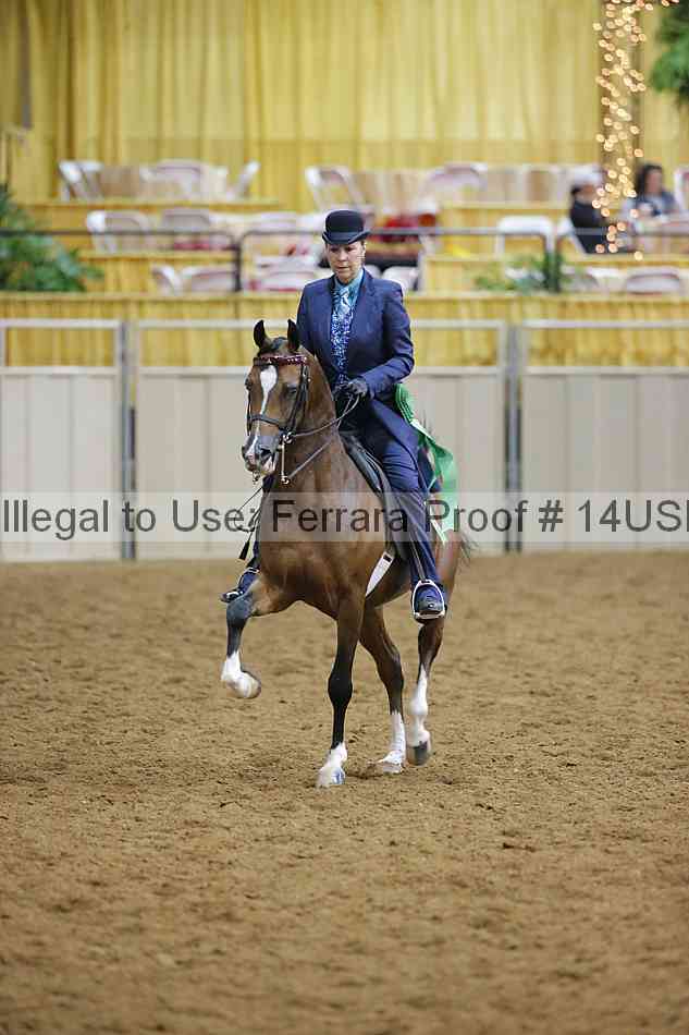Proof 14usn_10675