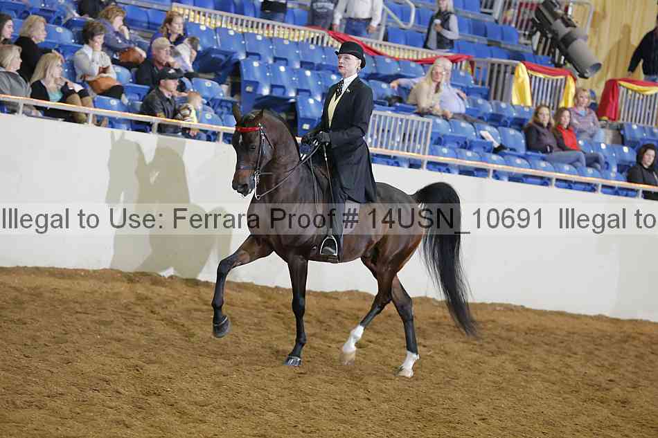 Proof 14usn_10691