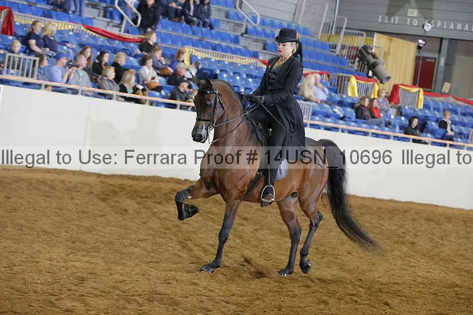 Proof 14usn_10696