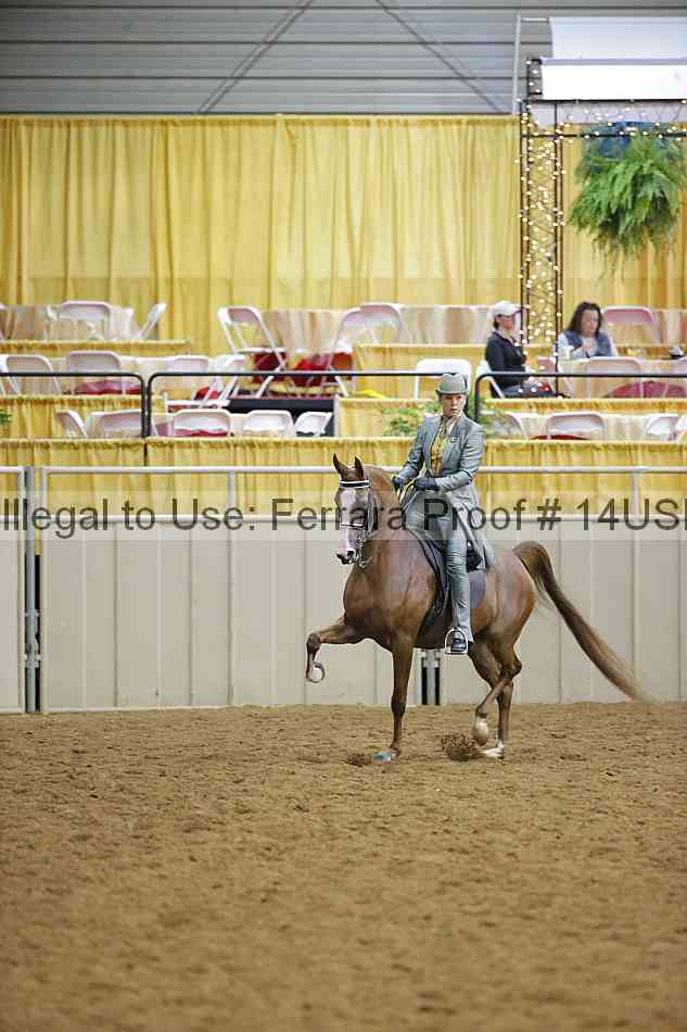 Proof 14usn_10697