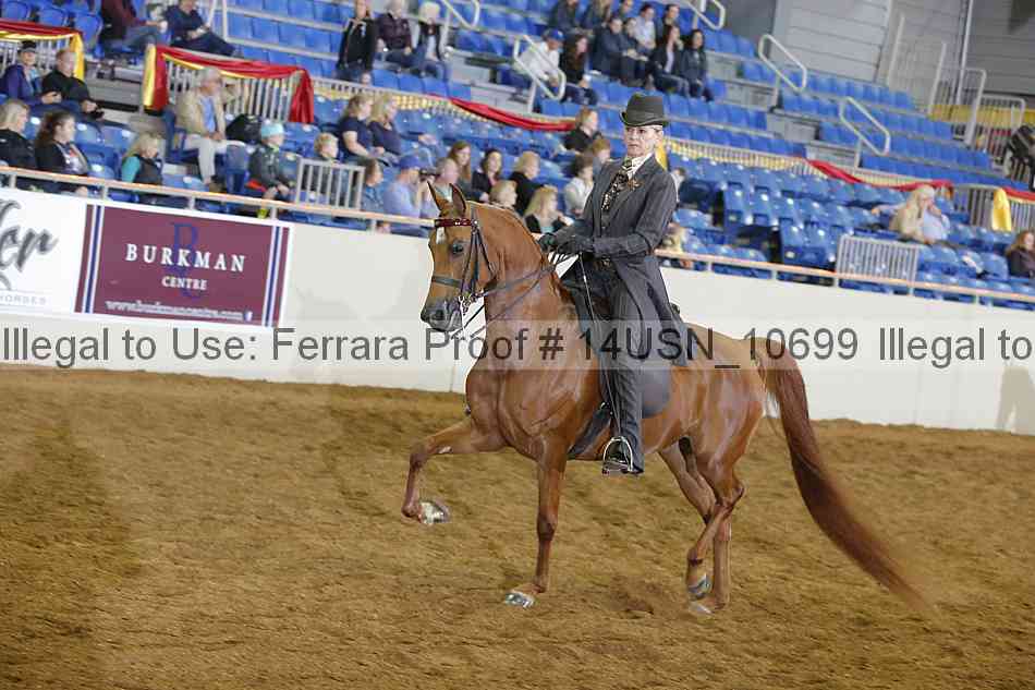 Proof 14usn_10699