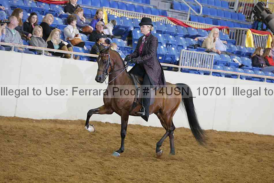 Proof 14usn_10701